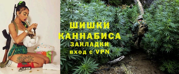 гашик Алзамай